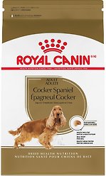 Royal Canin Breed Health Nutrition Cocker Spaniel Adult Dry Dog Food, 2.724-kg bag
