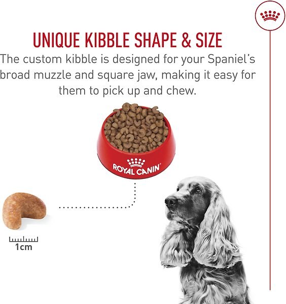 Show full view: Royal Canin Breed Health Nutrition Cocker Spaniel Adult Dry Dog Food, 2.724-kg bag slide 4 of 9