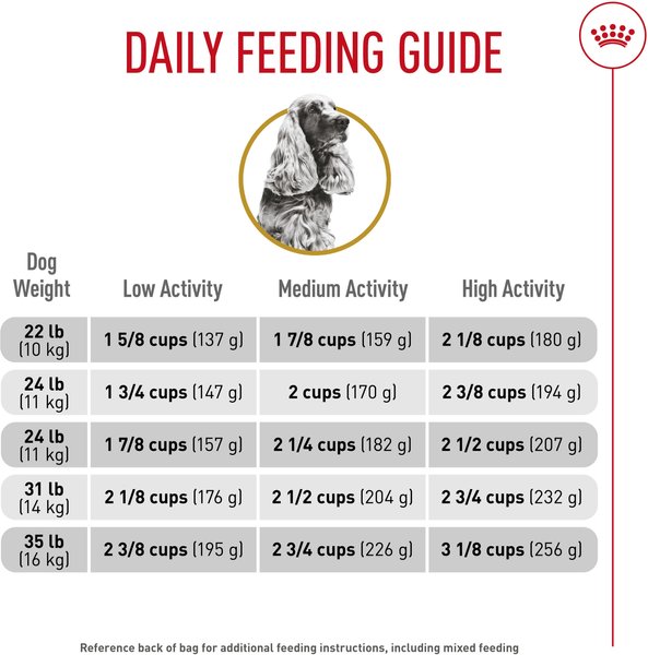Show full view: Royal Canin Breed Health Nutrition Cocker Spaniel Adult Dry Dog Food, 2.724-kg bag slide 6 of 9