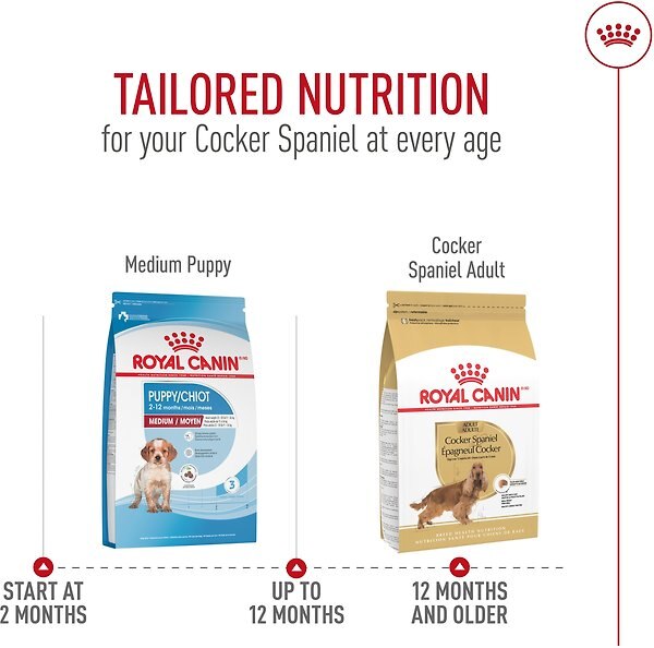 Show full view: Royal Canin Breed Health Nutrition Cocker Spaniel Adult Dry Dog Food, 2.724-kg bag slide 7 of 9