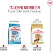 Show in main carousel: Royal Canin Breed Health Nutrition Cocker Spaniel Adult Dry Dog Food, 2.724-kg bag slide 7 of 9