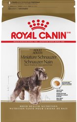 Royal Canin Breed Health Nutrition Miniature Schnauzer Adult Dry Dog Food, 4.54-kg bag