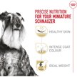 Show in main carousel: Royal Canin Breed Health Nutrition Miniature Schnauzer Adult Dry Dog Food, 4.54-kg bag slide 2 of 9