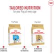 Show in main carousel: Royal Canin Breed Health Nutrition Pug Adult Dry Dog Food, 4.54-kg bag slide 7 of 9