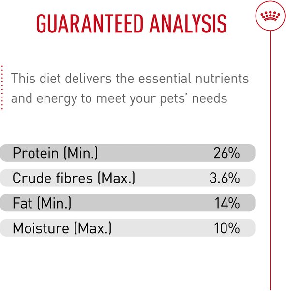 Show full view: Royal Canin Breed Health Nutrition Chihuahua Adult Dry Dog Food, 1.135-kg bag slide 5 of 9