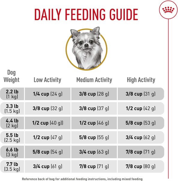 Show full view: Royal Canin Breed Health Nutrition Chihuahua Adult Dry Dog Food, 1.135-kg bag slide 6 of 9