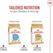 Show in main carousel: Royal Canin Breed Health Nutrition Chihuahua Adult Dry Dog Food, 1.135-kg bag slide 7 of 9
