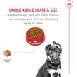Show in main carousel: Royal Canin Breed Health Nutrition German Shepherd Puppy Dry Dog Food, 13.62-kg bag slide 4 of 9