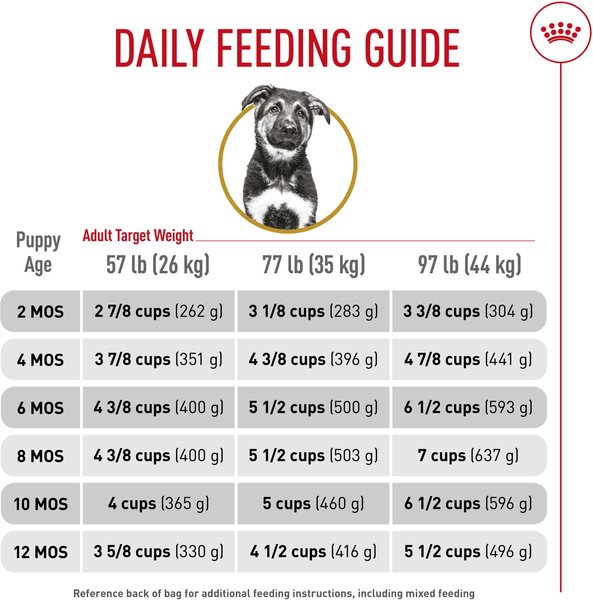 Show full view: Royal Canin Breed Health Nutrition German Shepherd Puppy Dry Dog Food, 13.62-kg bag slide 6 of 9