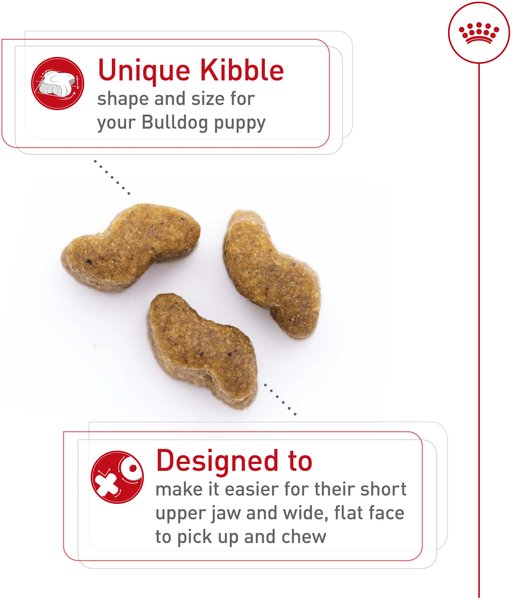 Show full view: Royal Canin Breed Health Nutrition Bulldog Puppy Dry Dog Food, 13.62-kg bag slide 3 of 9
