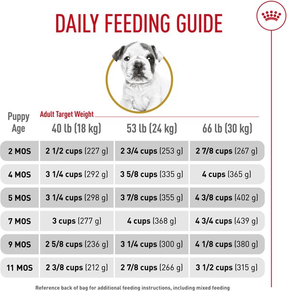 Show full view: Royal Canin Breed Health Nutrition Bulldog Puppy Dry Dog Food, 13.62-kg bag slide 6 of 9