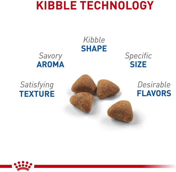 Show full view: Royal Canin Feline Health Nutrition Indoor Adult Dry Cat Food, 1.362-kg bag slide 3 of 8