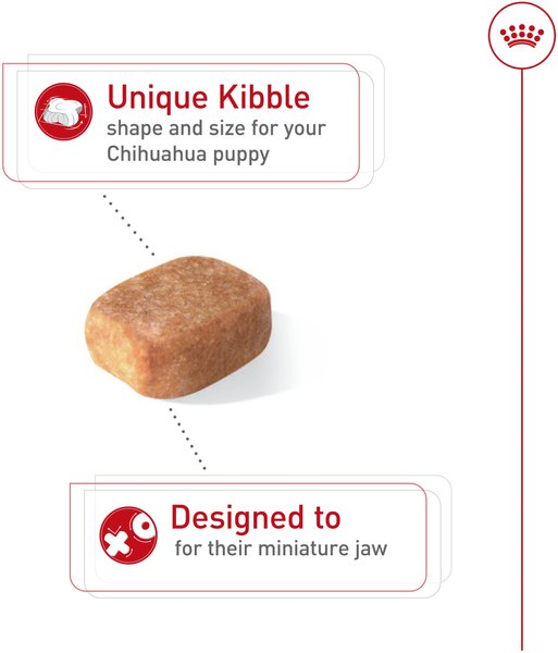 Show full view: Royal Canin Breed Health Nutrition Chihuahua Puppy Dry Dog Food, 1.135-kg bag slide 3 of 9