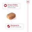Show in main carousel: Royal Canin Breed Health Nutrition Chihuahua Puppy Dry Dog Food, 1.135-kg bag slide 3 of 9