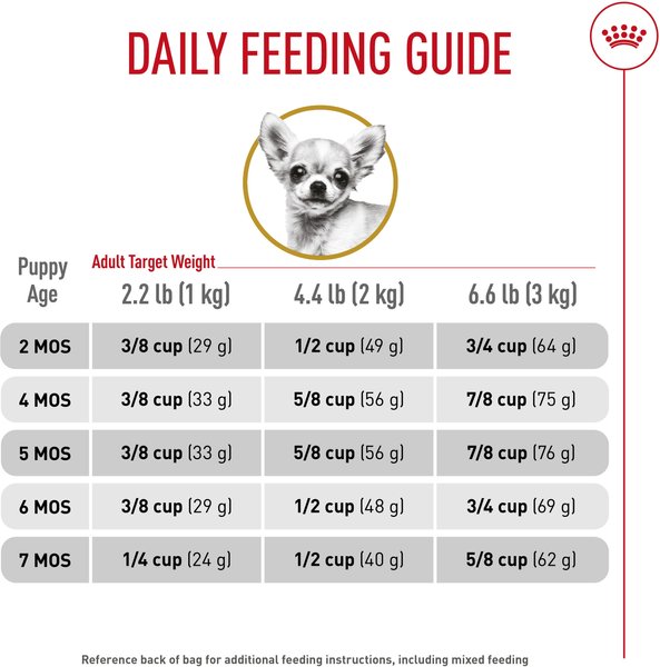 Show full view: Royal Canin Breed Health Nutrition Chihuahua Puppy Dry Dog Food, 1.135-kg bag slide 6 of 9