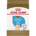 Royal Canin Breed Health Nutrition Labrador Retriever Puppy Dry Dog Food, 13.62-kg bag