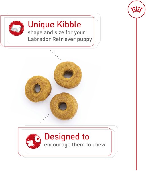 Show full view: Royal Canin Breed Health Nutrition Labrador Retriever Puppy Dry Dog Food, 13.62-kg bag slide 4 of 17