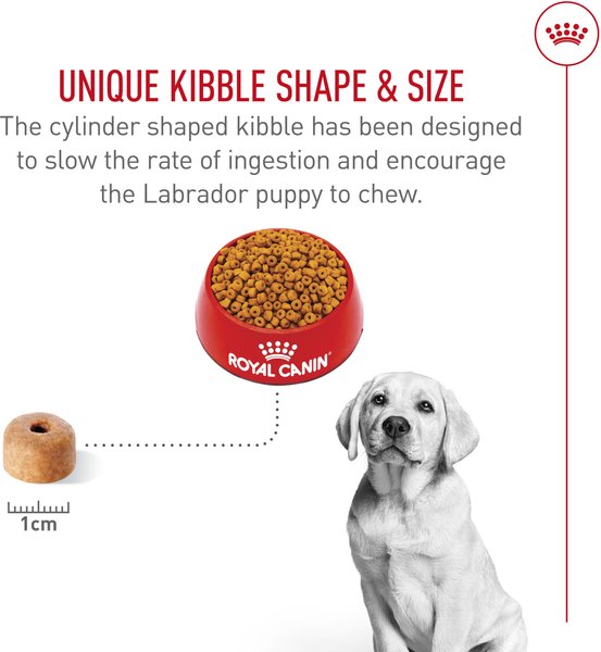 Show full view: Royal Canin Breed Health Nutrition Labrador Retriever Puppy Dry Dog Food, 13.62-kg bag slide 6 of 17
