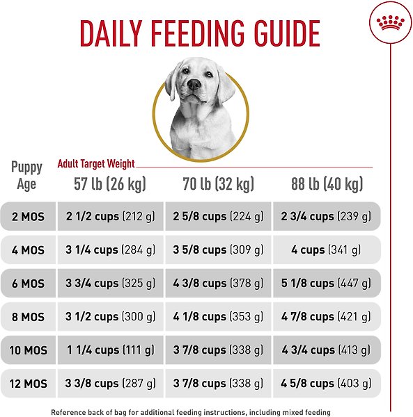 Show full view: Royal Canin Breed Health Nutrition Labrador Retriever Puppy Dry Dog Food, 13.62-kg bag slide 10 of 17