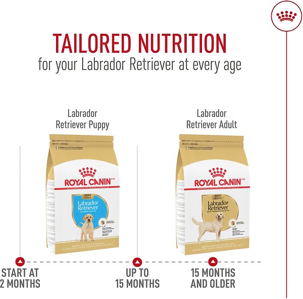 Show full view: Royal Canin Breed Health Nutrition Labrador Retriever Puppy Dry Dog Food, 13.62-kg bag slide 12 of 17