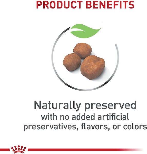 Show full view: Royal Canin Size Health Nutrition Giant Puppy Dry Dog Food, 13.62-kg bag slide 3 of 10