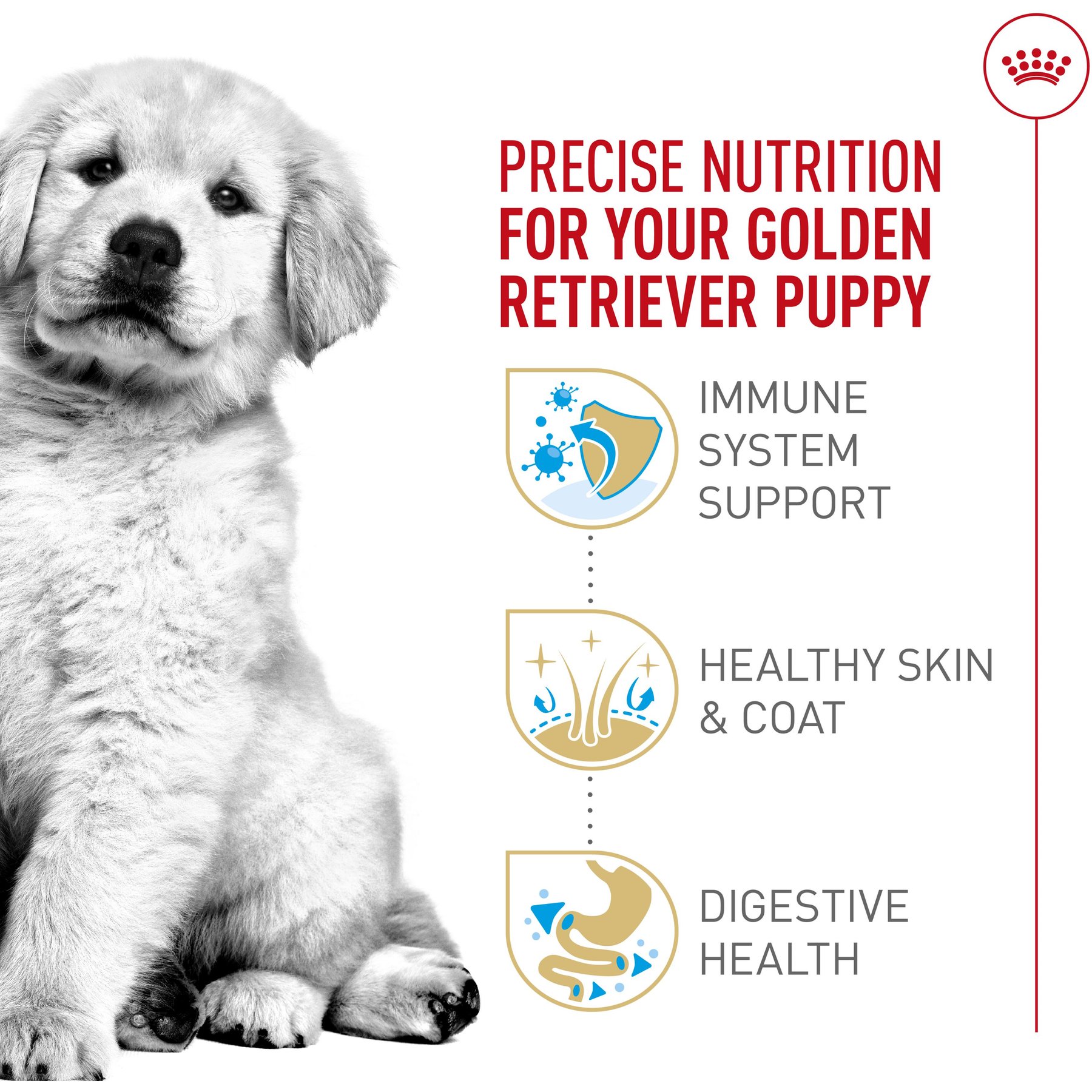 Royal Canin Breed Health Nutrition Golden Retriever Puppy Dry Dog Food 13.62 kg bag