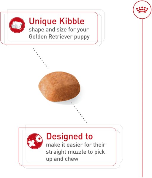 Show full view: Royal Canin Breed Health Nutrition Golden Retriever Puppy Dry Dog Food, 13.62-kg bag slide 3 of 9