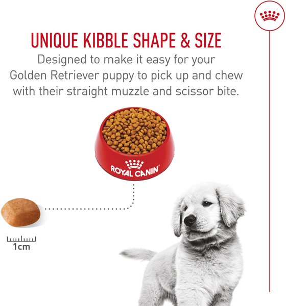 Show full view: Royal Canin Breed Health Nutrition Golden Retriever Puppy Dry Dog Food, 13.62-kg bag slide 4 of 9