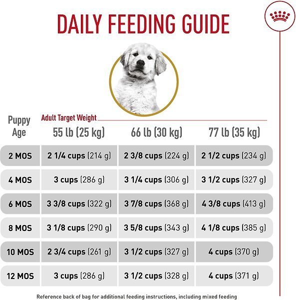 Show full view: Royal Canin Breed Health Nutrition Golden Retriever Puppy Dry Dog Food, 13.62-kg bag slide 6 of 9