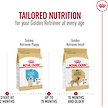 Show in main carousel: Royal Canin Breed Health Nutrition Golden Retriever Puppy Dry Dog Food, 13.62-kg bag slide 7 of 9