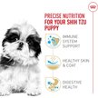 Show in main carousel: Royal Canin Breed Health Nutrition Shih Tzu Puppy Dry Dog Food, 1.135-kg bag slide 2 of 9