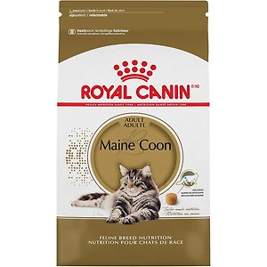 ROYAL CANIN Feline Breed Nutrition Bengal Adult Dry Cat Food