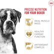 Show in main carousel: Royal Canin Breed Health Nutrition Boxer Adult Dry Dog Food, 13.62-kg bag slide 2 of 9