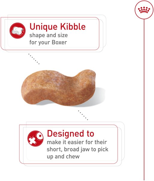 Show full view: Royal Canin Breed Health Nutrition Boxer Adult Dry Dog Food, 13.62-kg bag slide 3 of 9