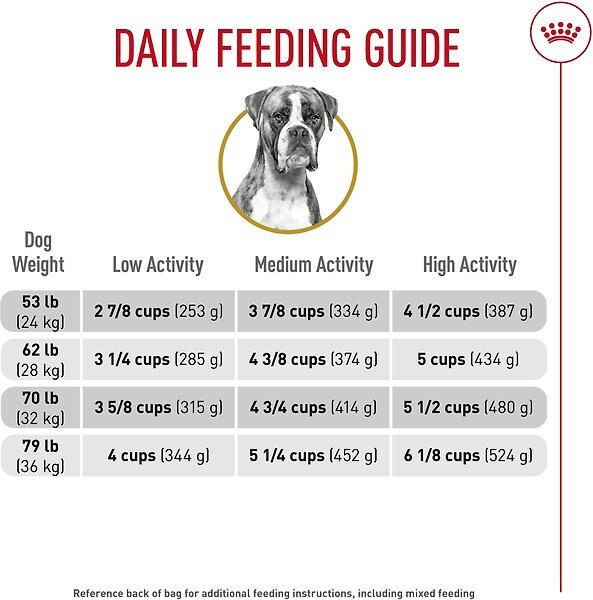 Show full view: Royal Canin Breed Health Nutrition Boxer Adult Dry Dog Food, 13.62-kg bag slide 6 of 9