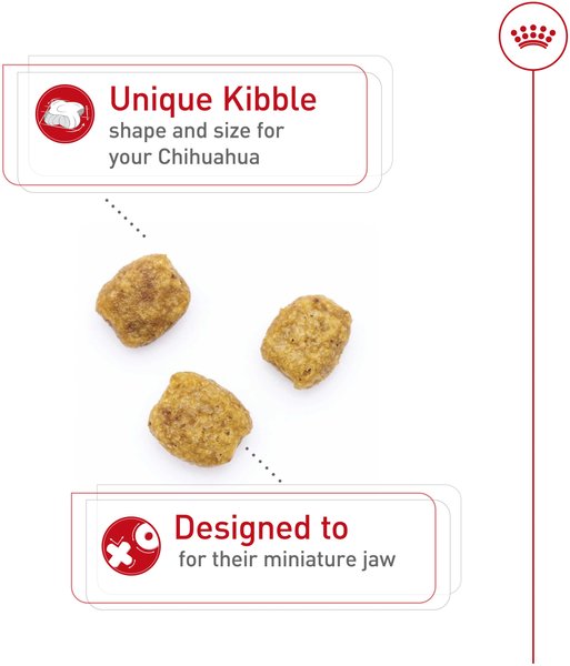 Show full view: Royal Canin Breed Health Nutrition Chihuahua Adult Dry Dog Food, 4.54-kg bag slide 3 of 9