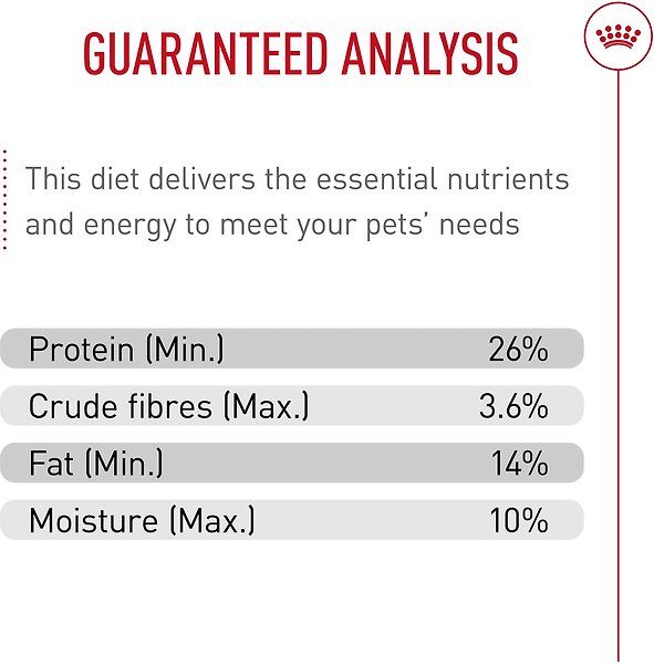Show full view: Royal Canin Breed Health Nutrition Chihuahua Adult Dry Dog Food, 4.54-kg bag slide 5 of 9