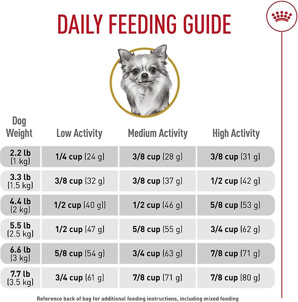 Show full view: Royal Canin Breed Health Nutrition Chihuahua Adult Dry Dog Food, 4.54-kg bag slide 6 of 9