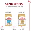 Show in main carousel: Royal Canin Breed Health Nutrition Chihuahua Adult Dry Dog Food, 4.54-kg bag slide 7 of 9