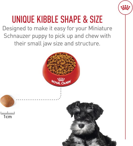 Show full view: Royal Canin Breed Health Nutrition Miniature Schnauzer Puppy Dry Dog Food, 1.135-kg bag slide 4 of 9