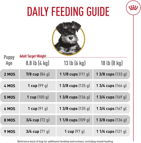 Show full view: Royal Canin Breed Health Nutrition Miniature Schnauzer Puppy Dry Dog Food, 1.135-kg bag slide 6 of 9