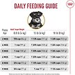 Show in main carousel: Royal Canin Breed Health Nutrition Miniature Schnauzer Puppy Dry Dog Food, 1.135-kg bag slide 6 of 9