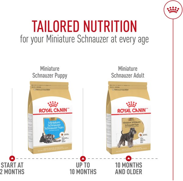 Show full view: Royal Canin Breed Health Nutrition Miniature Schnauzer Puppy Dry Dog Food, 1.135-kg bag slide 7 of 9