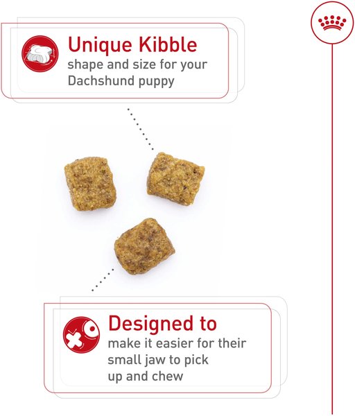 Show full view: Royal Canin Breed Health Nutrition Dachshund Puppy Dry Dog Food, 1.135-kg bag slide 3 of 9