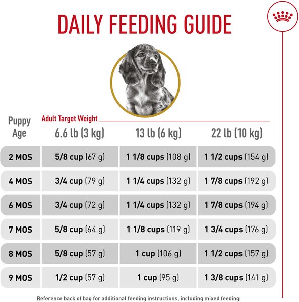 Show full view: Royal Canin Breed Health Nutrition Dachshund Puppy Dry Dog Food, 1.135-kg bag slide 6 of 9