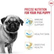 Show in main carousel: Royal Canin Breed Health Nutrition Pug Puppy Dry Dog Food, 1.135-kg bag slide 2 of 9