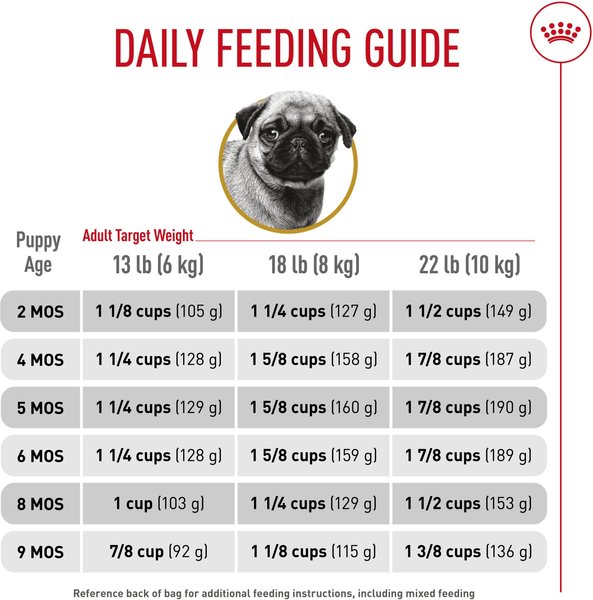 Show full view: Royal Canin Breed Health Nutrition Pug Puppy Dry Dog Food, 1.135-kg bag slide 6 of 9