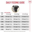 Show in main carousel: Royal Canin Breed Health Nutrition Pug Puppy Dry Dog Food, 1.135-kg bag slide 6 of 9
