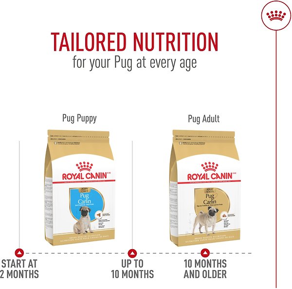 Show full view: Royal Canin Breed Health Nutrition Pug Puppy Dry Dog Food, 1.135-kg bag slide 7 of 9