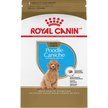 Show in main carousel: Royal Canin Breed Health Nutrition Poodle Puppy Dry Dog Food, 1.135-kg bag slide 1 of 9
